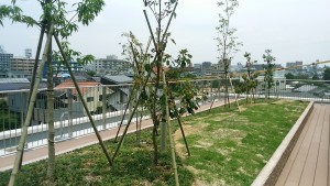 IMG_20160611_113151 (1)